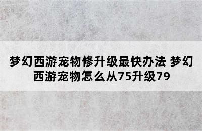 梦幻西游宠物修升级最快办法 梦幻西游宠物怎么从75升级79